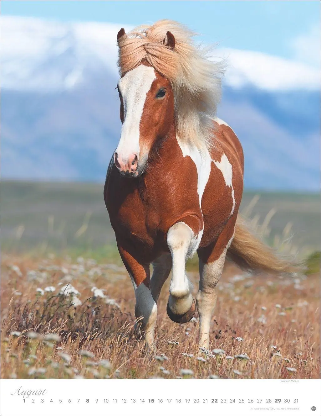 Bild: 9783756415533 | Pferde Classics Posterkalender 2027 | Sabine Stuewer | Kalender | 2027
