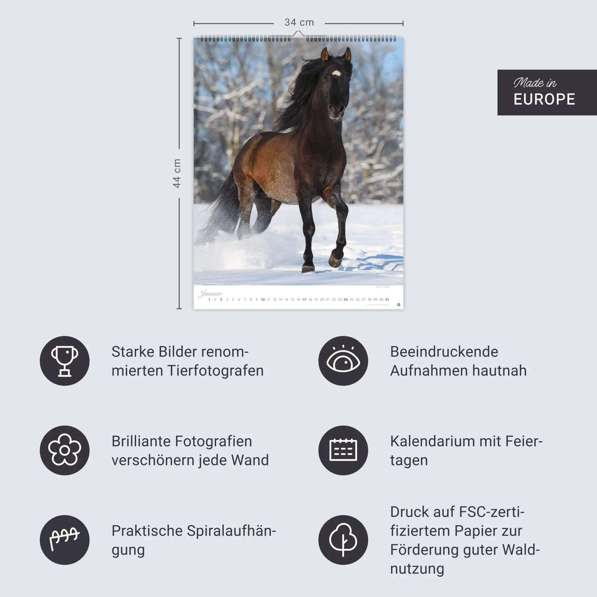 Bild: 9783756415533 | Pferde Classics Posterkalender 2027 | Sabine Stuewer | Kalender | 2027
