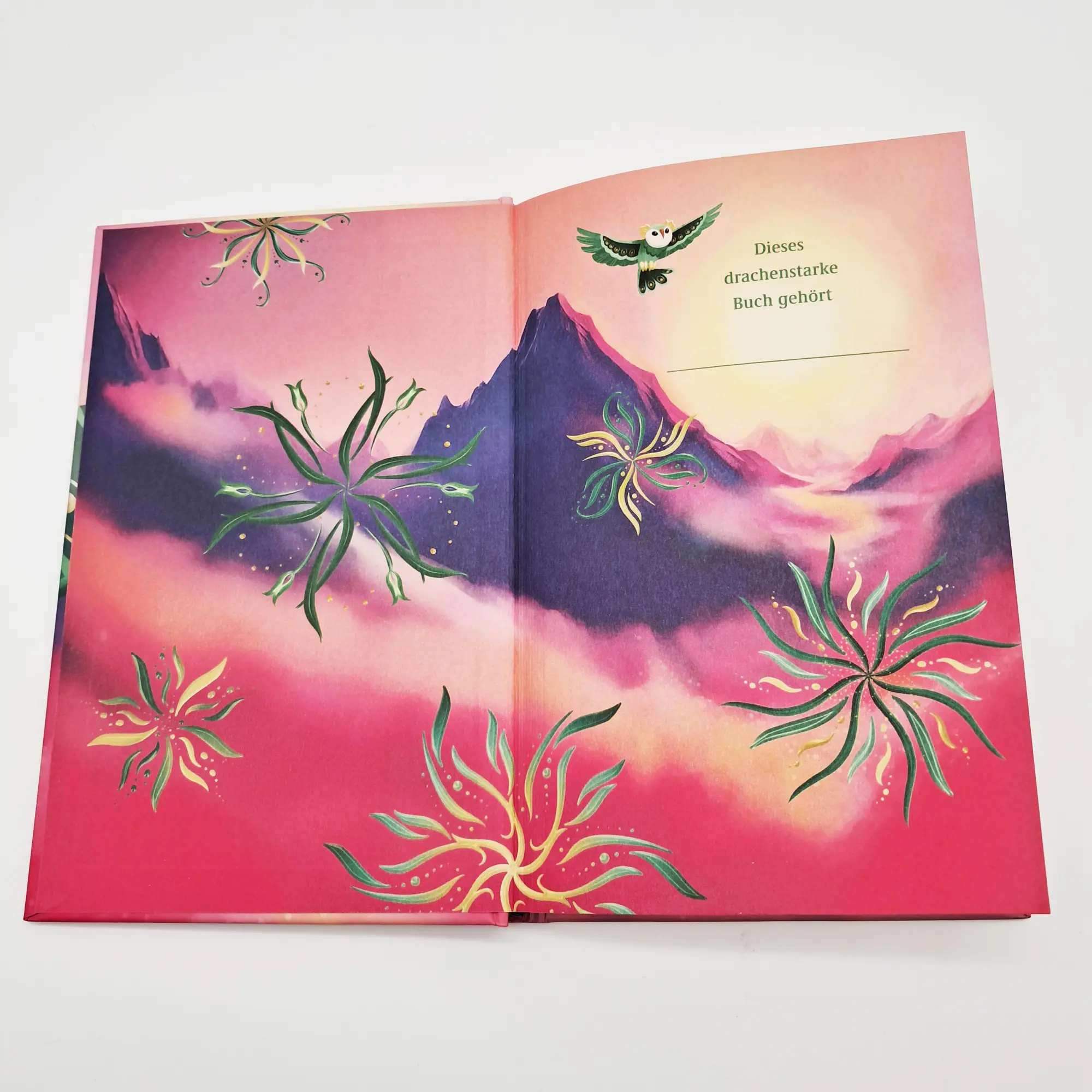 Bild: 9783423765633 | Dragon Girls - Quinn, der Jadedrache | Maddy Mara | Buch | 128 S.