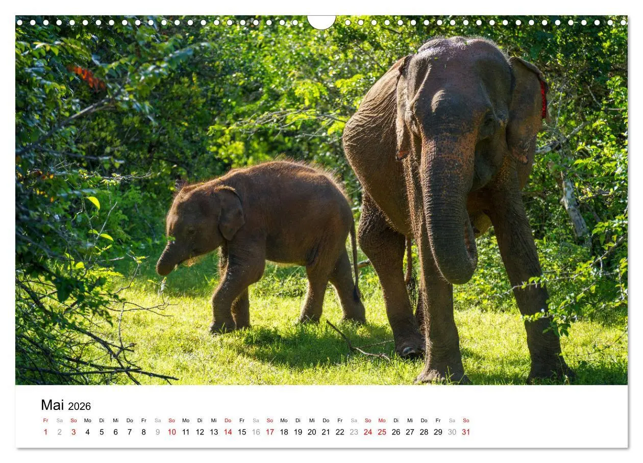 Bild: 9783457355633 | Urlaub in Sri Lanka - Reise durch Asien, Kultur und Natur...