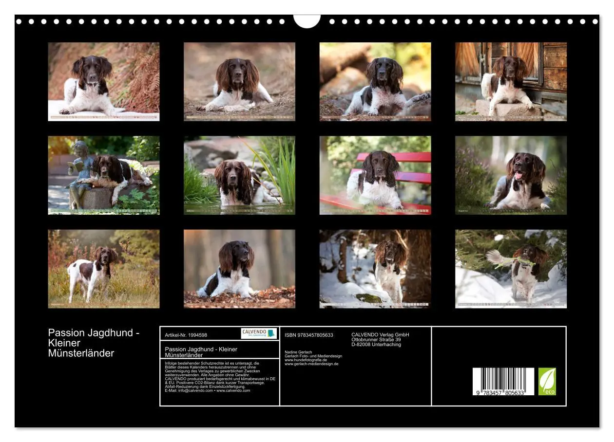 Bild: 9783457805633 | Passion Jagdhund - Kleiner Münsterländer (Wandkalender 2026 DIN A3...