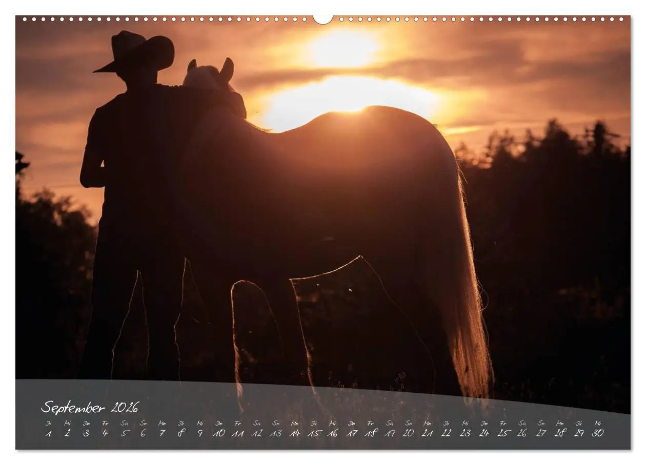 Bild: 9783457975633 | Haflinger-Pferde in Reinzucht (Wandkalender 2026 DIN A2 quer),...