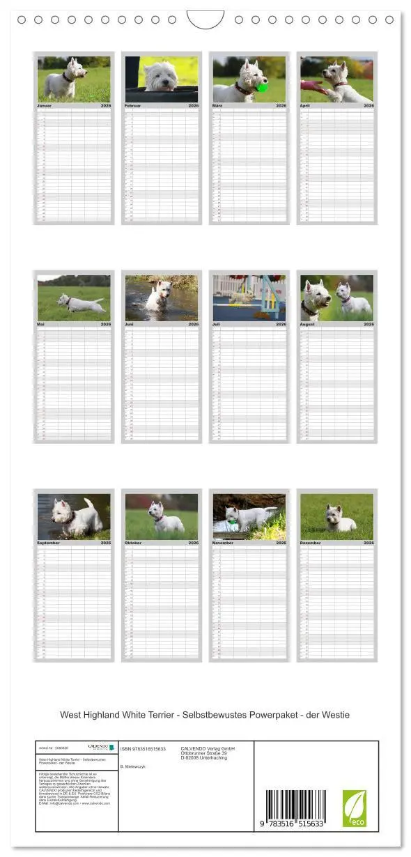 Bild: 9783516515633 | Familienplaner 2026 - West Highland White Terrier - Selbstbewustes...