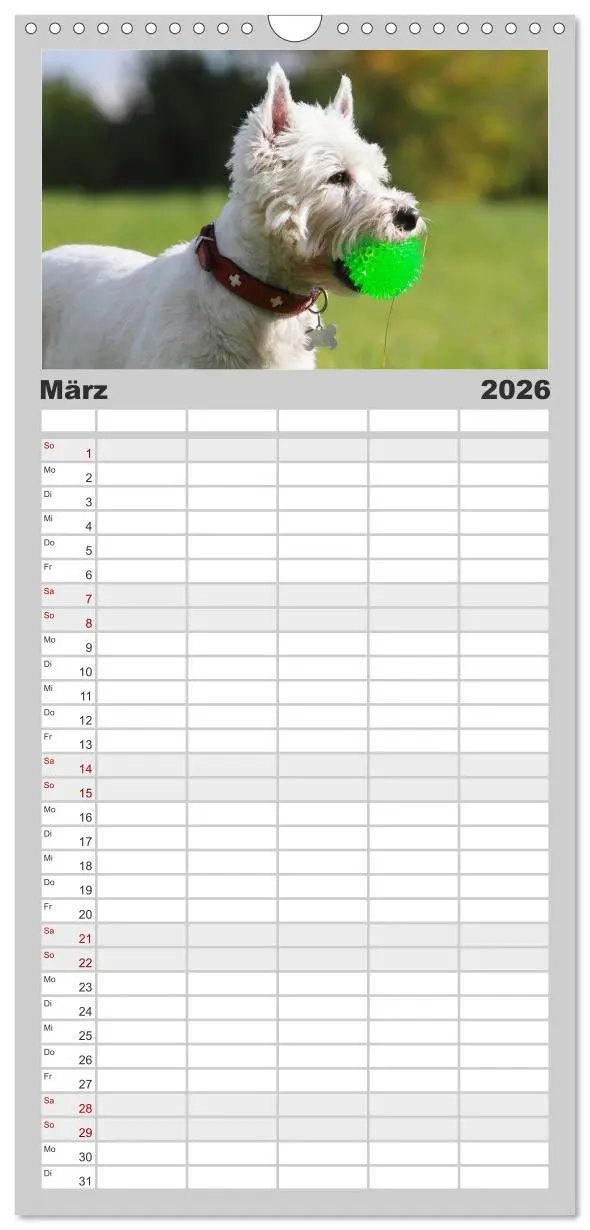 Bild: 9783516515633 | Familienplaner 2026 - West Highland White Terrier - Selbstbewustes...