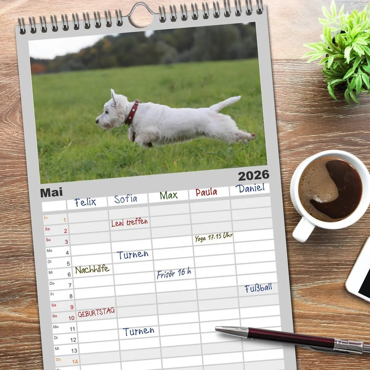 Bild: 9783516515633 | Familienplaner 2026 - West Highland White Terrier - Selbstbewustes...