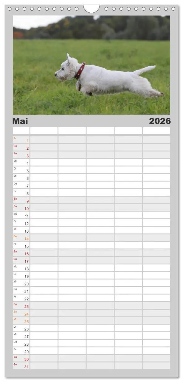 Bild: 9783516515633 | Familienplaner 2026 - West Highland White Terrier - Selbstbewustes...
