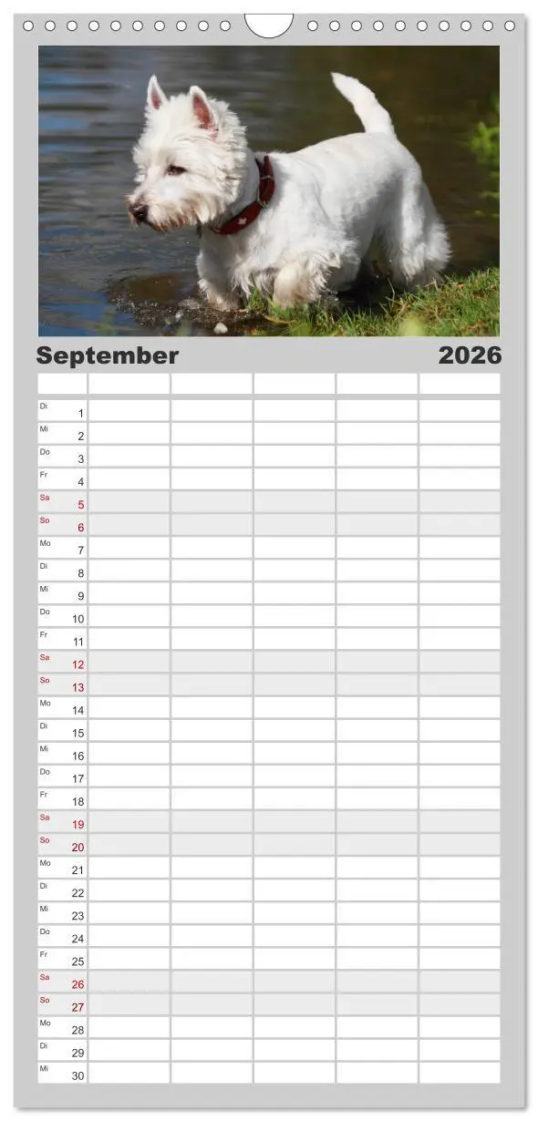 Bild: 9783516515633 | Familienplaner 2026 - West Highland White Terrier - Selbstbewustes...