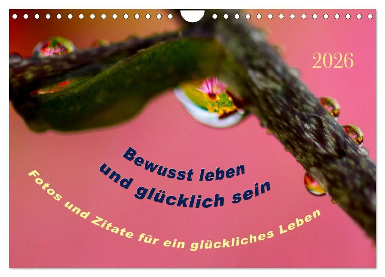 Cover: 9783516685633 | Bewusst leben und glücklich sein (Wandkalender 2026 DIN A4 quer),...