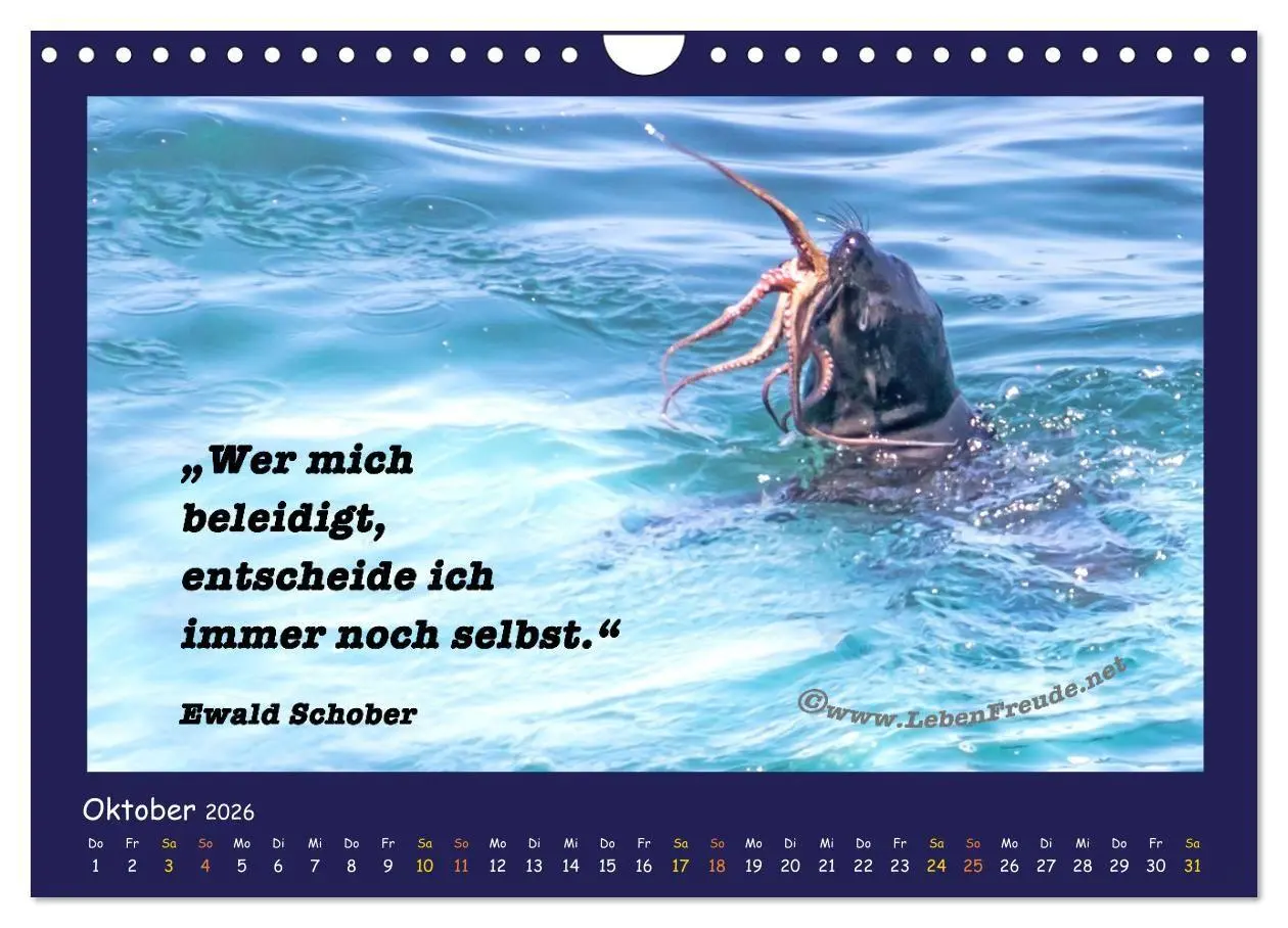 Bild: 9783516685633 | Bewusst leben und glücklich sein (Wandkalender 2026 DIN A4 quer),...