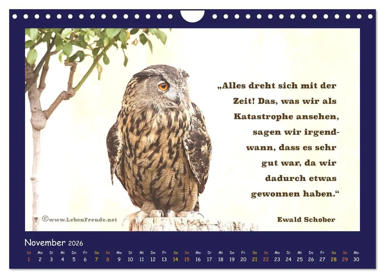 Bild: 9783516685633 | Bewusst leben und glücklich sein (Wandkalender 2026 DIN A4 quer),...