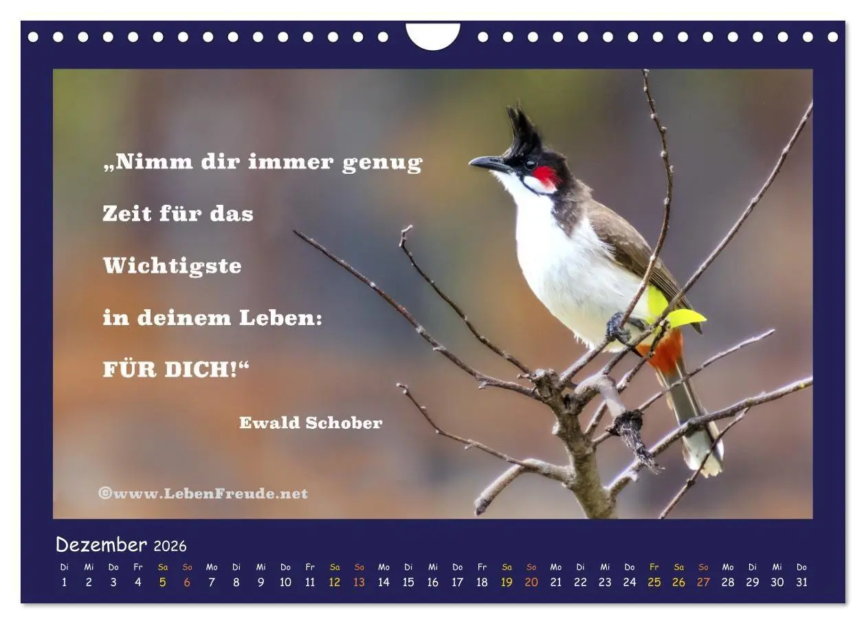 Bild: 9783516685633 | Bewusst leben und glücklich sein (Wandkalender 2026 DIN A4 quer),...