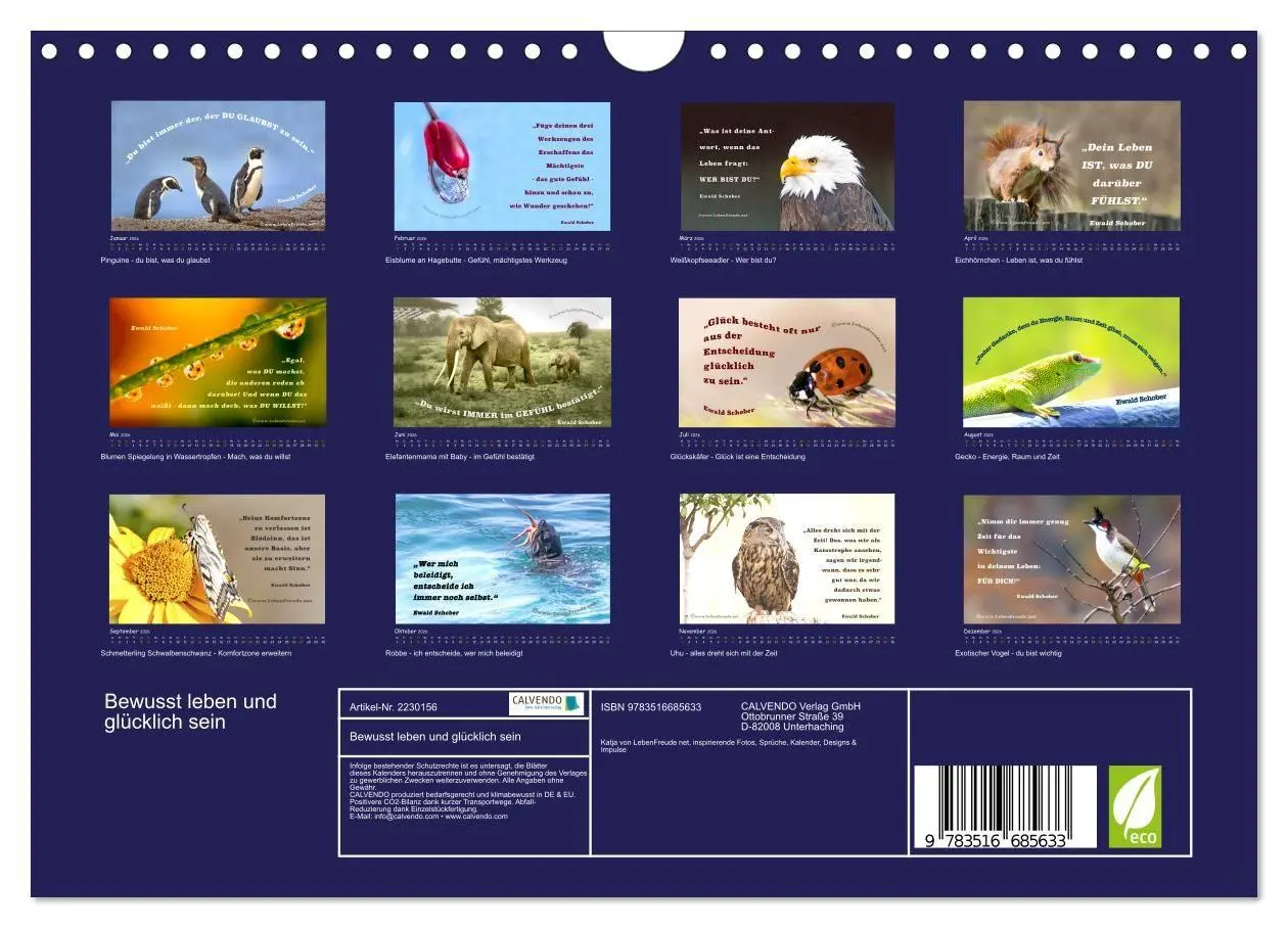 Bild: 9783516685633 | Bewusst leben und glücklich sein (Wandkalender 2026 DIN A4 quer),...