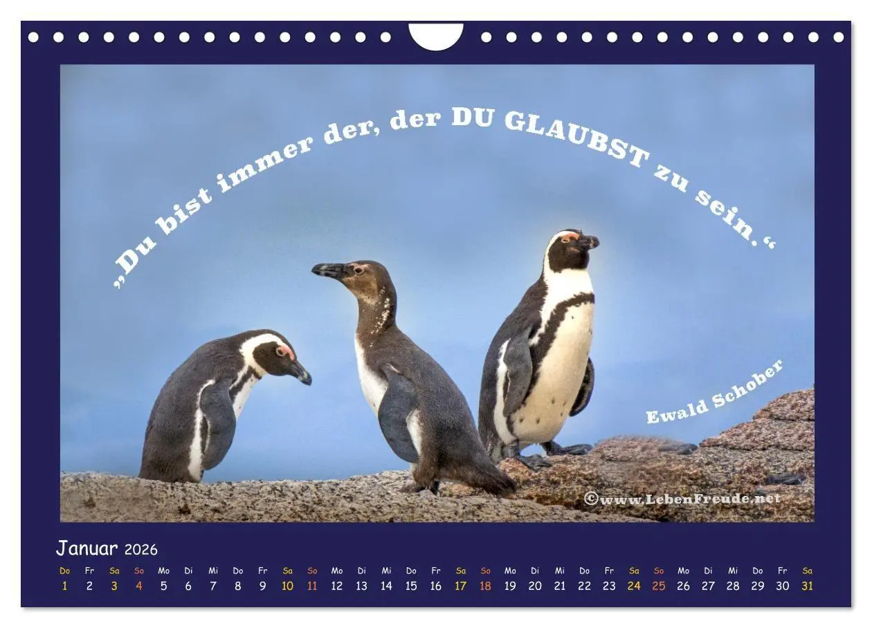 Bild: 9783516685633 | Bewusst leben und glücklich sein (Wandkalender 2026 DIN A4 quer),...
