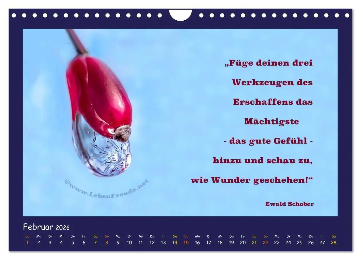 Bild: 9783516685633 | Bewusst leben und glücklich sein (Wandkalender 2026 DIN A4 quer),...