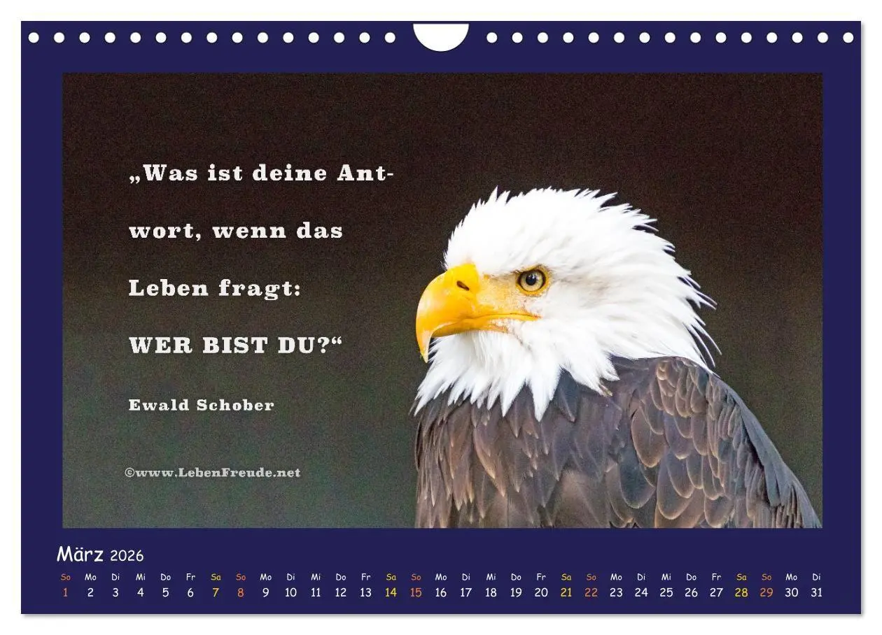 Bild: 9783516685633 | Bewusst leben und glücklich sein (Wandkalender 2026 DIN A4 quer),...