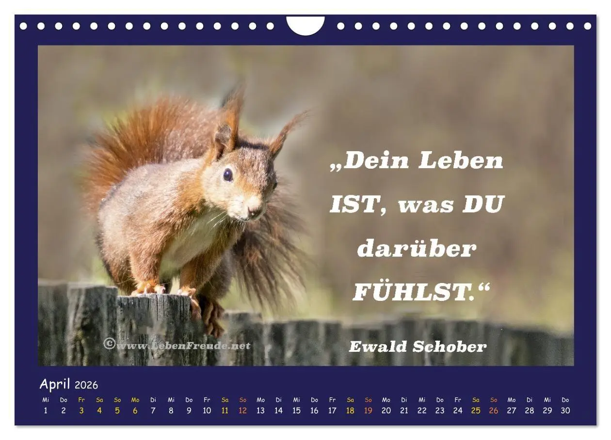 Bild: 9783516685633 | Bewusst leben und glücklich sein (Wandkalender 2026 DIN A4 quer),...