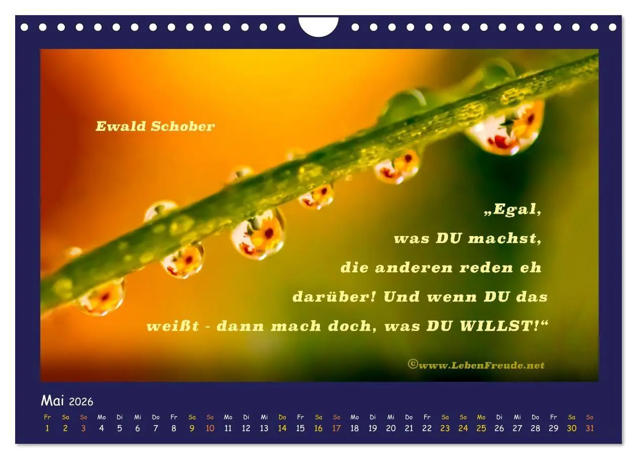 Bild: 9783516685633 | Bewusst leben und glücklich sein (Wandkalender 2026 DIN A4 quer),...