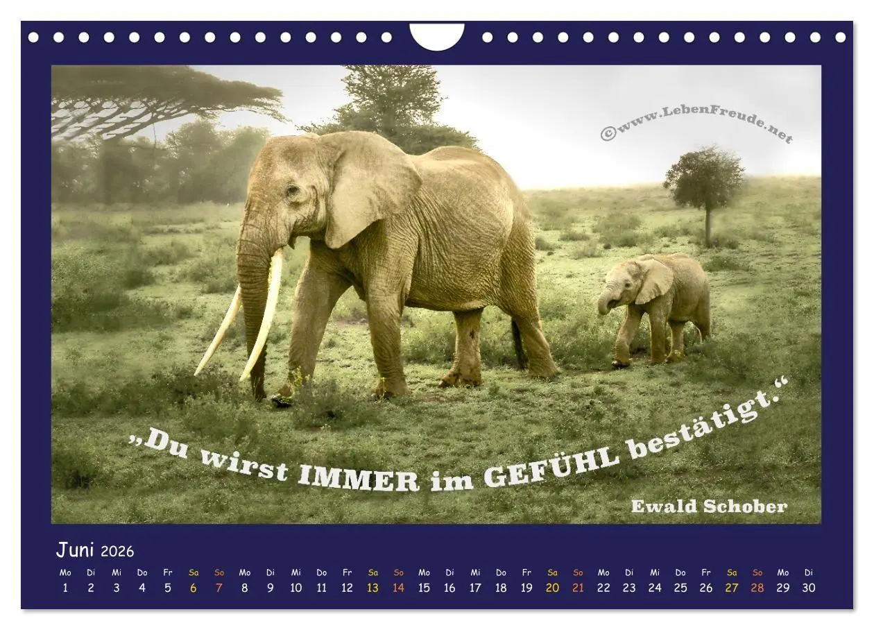 Bild: 9783516685633 | Bewusst leben und glücklich sein (Wandkalender 2026 DIN A4 quer),...