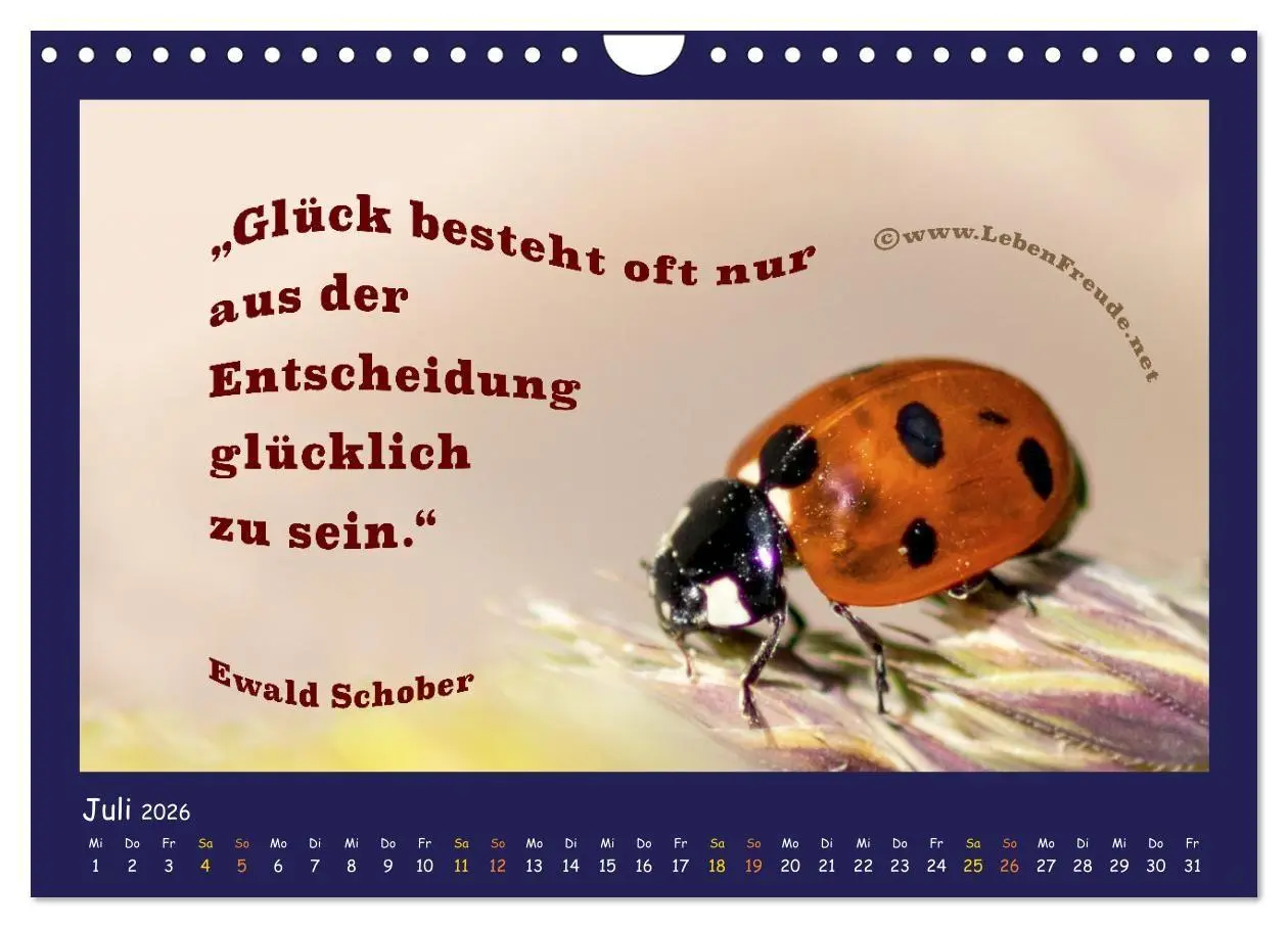 Bild: 9783516685633 | Bewusst leben und glücklich sein (Wandkalender 2026 DIN A4 quer),...