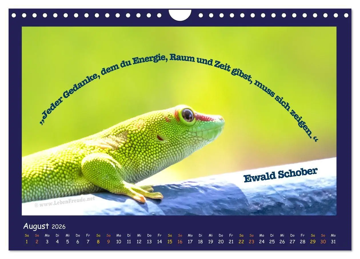 Bild: 9783516685633 | Bewusst leben und glücklich sein (Wandkalender 2026 DIN A4 quer),...