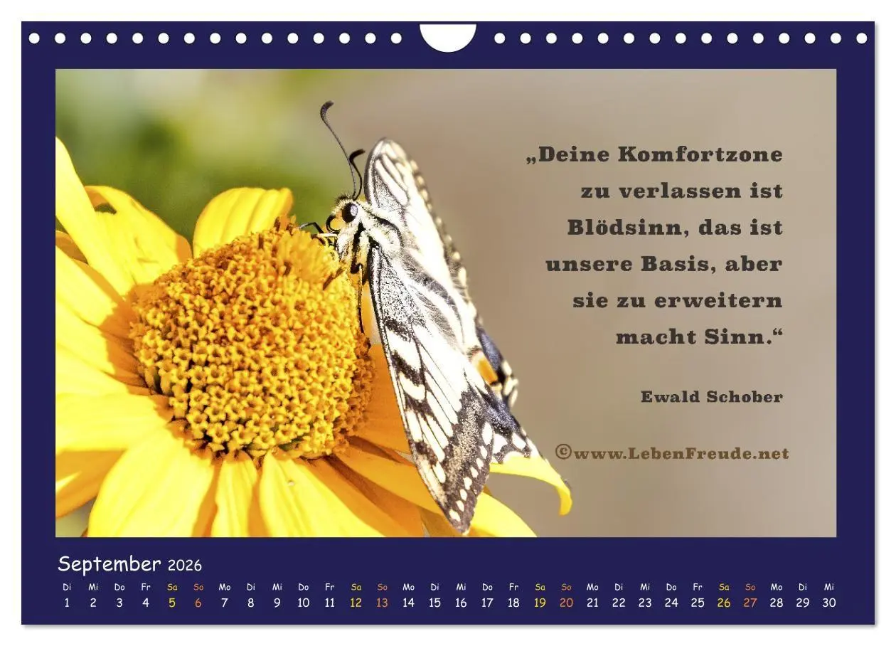 Bild: 9783516685633 | Bewusst leben und glücklich sein (Wandkalender 2026 DIN A4 quer),...