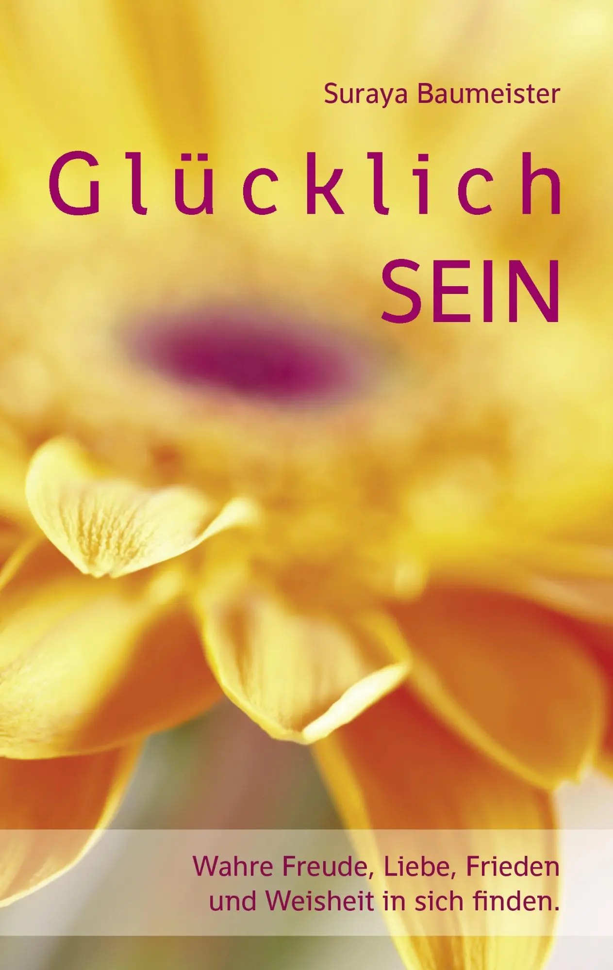 Cover: 9783839115633 | Glücklich sein | Suraya Baumeister | Taschenbuch | 160 S. | Deutsch