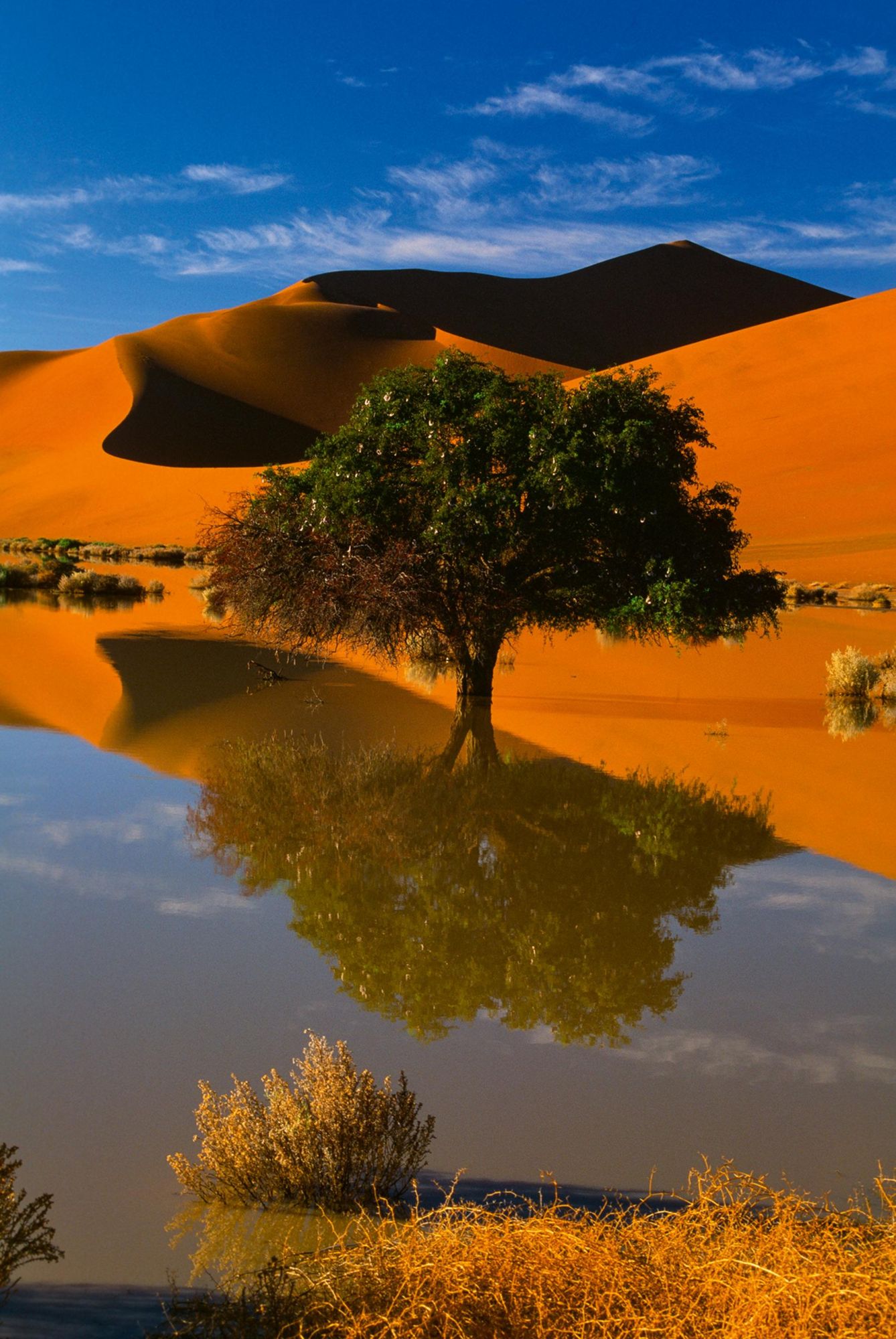 Bild: 9783961715633 | Deserts | Philippe Bourseiller | Buch | 320 S. | Deutsch | 2025