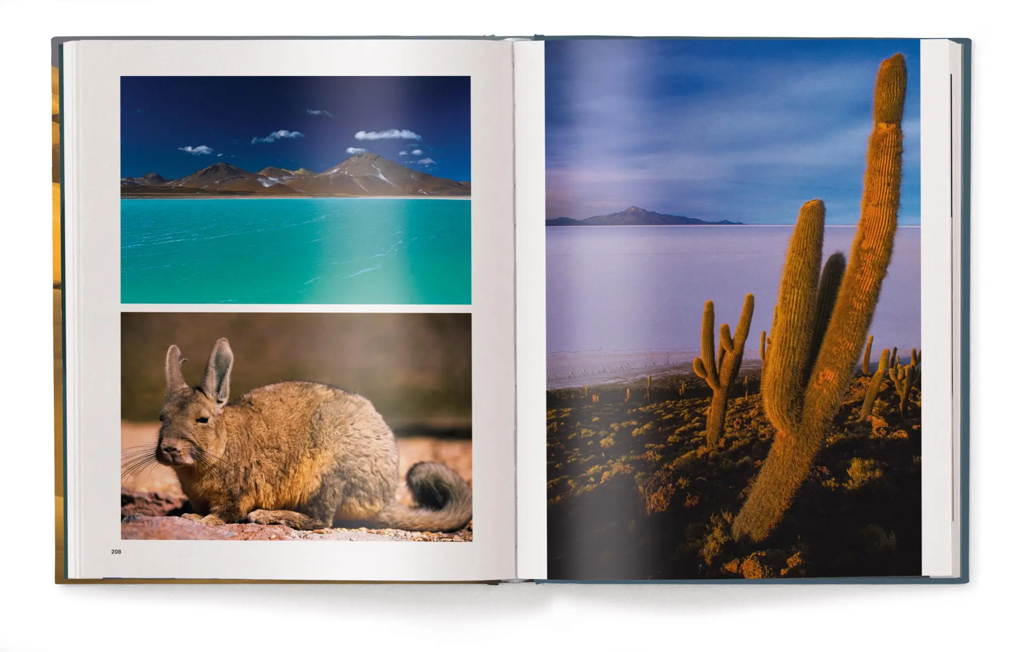 Bild: 9783961715633 | Deserts | Philippe Bourseiller | Buch | 320 S. | Deutsch | 2025