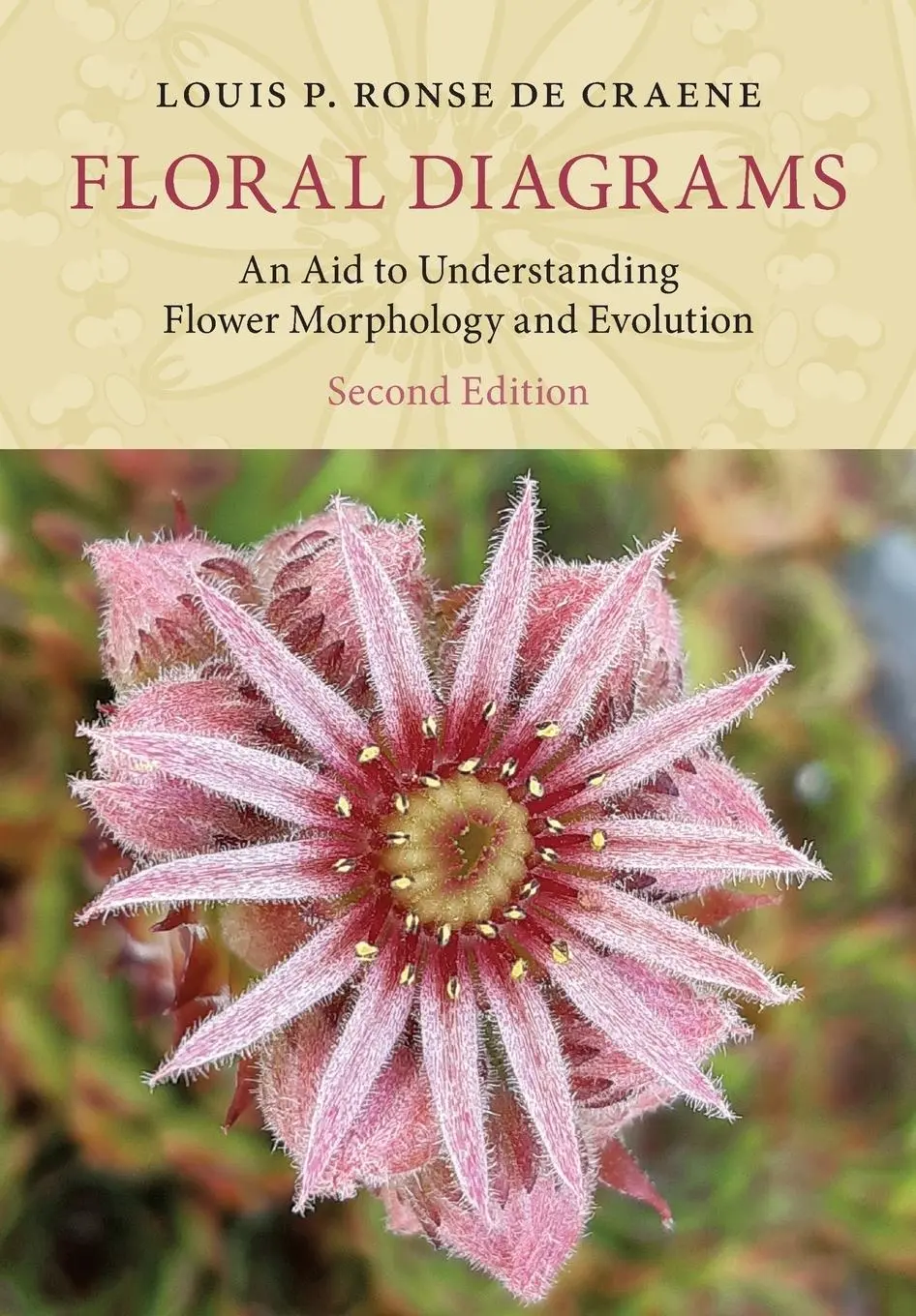Cover: 9781108825733 | Floral Diagrams | Louis P. Ronse De Craene | Taschenbuch | Englisch