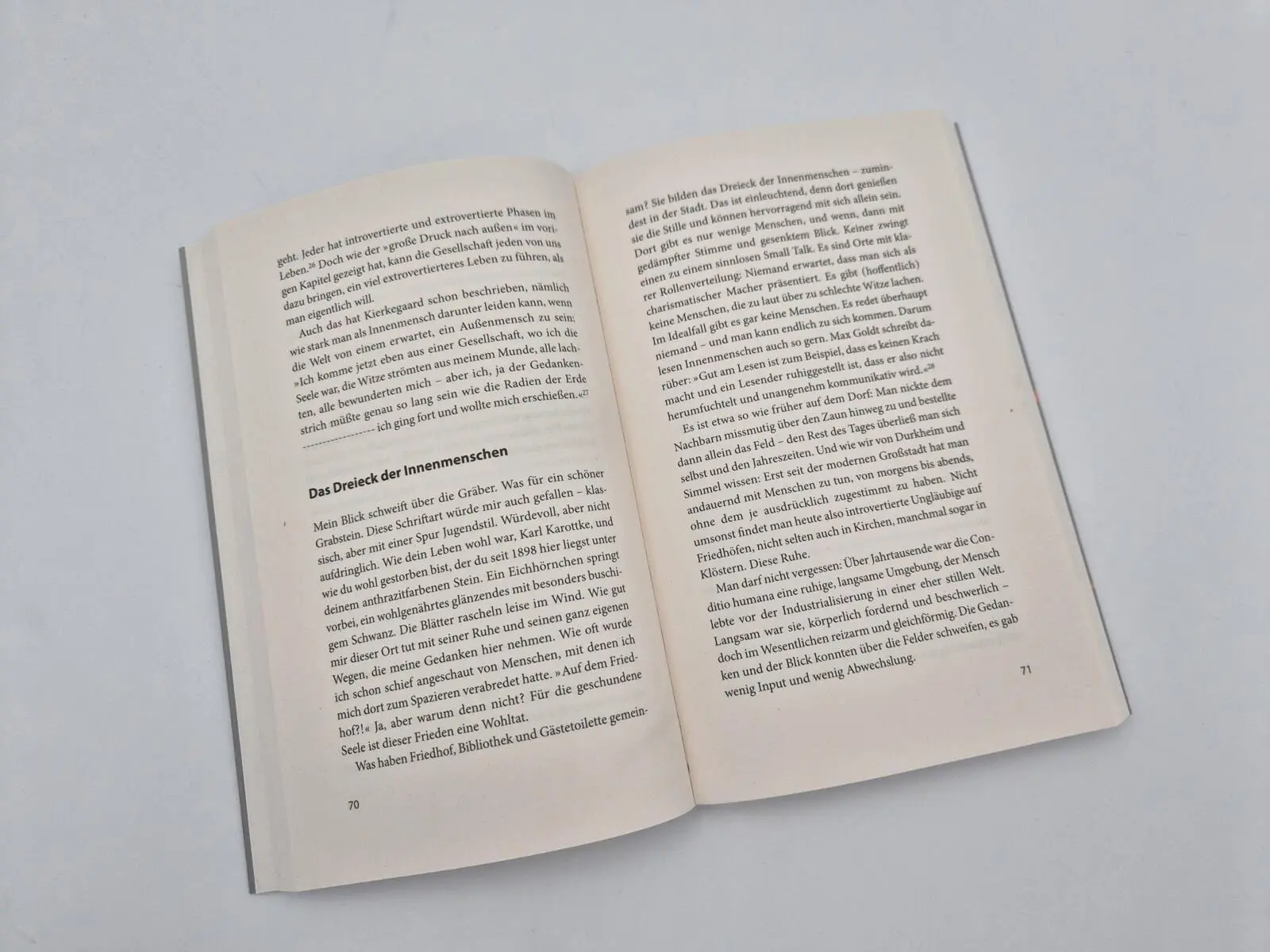 Bild: 9783492065733 | Wir sind Dynamit | Juliane Marie Schreiber | Taschenbuch | 208 S.