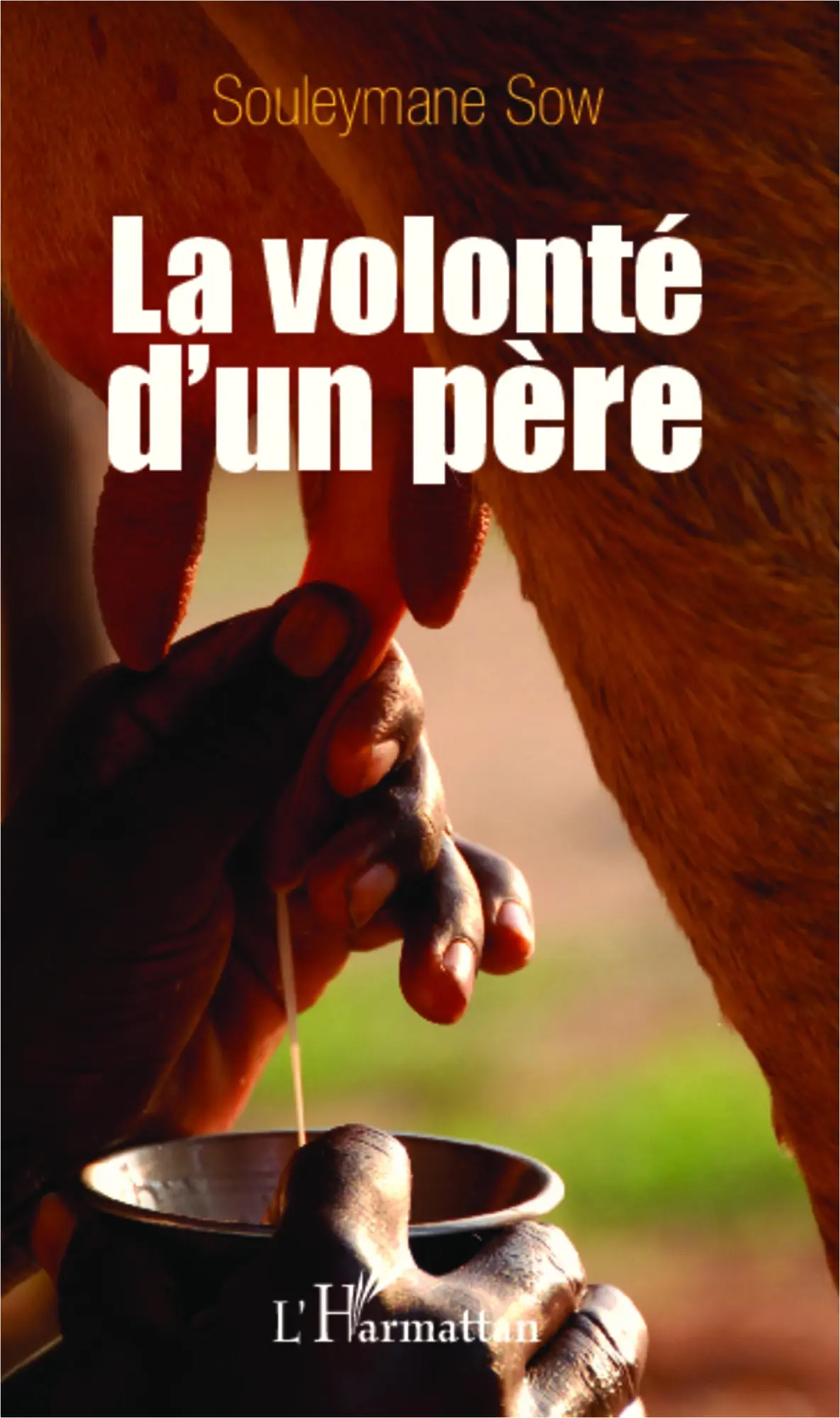 Cover: 9782296995833 | La volonté d'un père | Souleymane Sow | Taschenbuch | Paperback | 2020