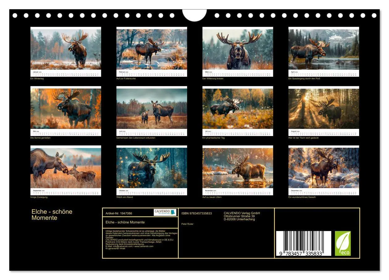 Bild: 9783457335833 | Elche - schöne Momente (Wandkalender 2026 DIN A4 quer), CALVENDO...