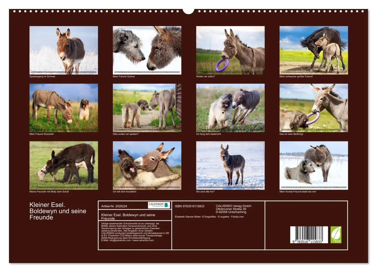 Bild: 9783516115833 | Kleiner Esel. Boldewyn und seine Freunde (hochwertiger Premium...