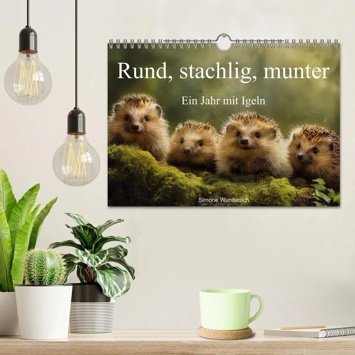 Bild: 9783516595833 | Rund, stachlig, munter - Ein Jahr mit Igeln (Wandkalender 2026 DIN...