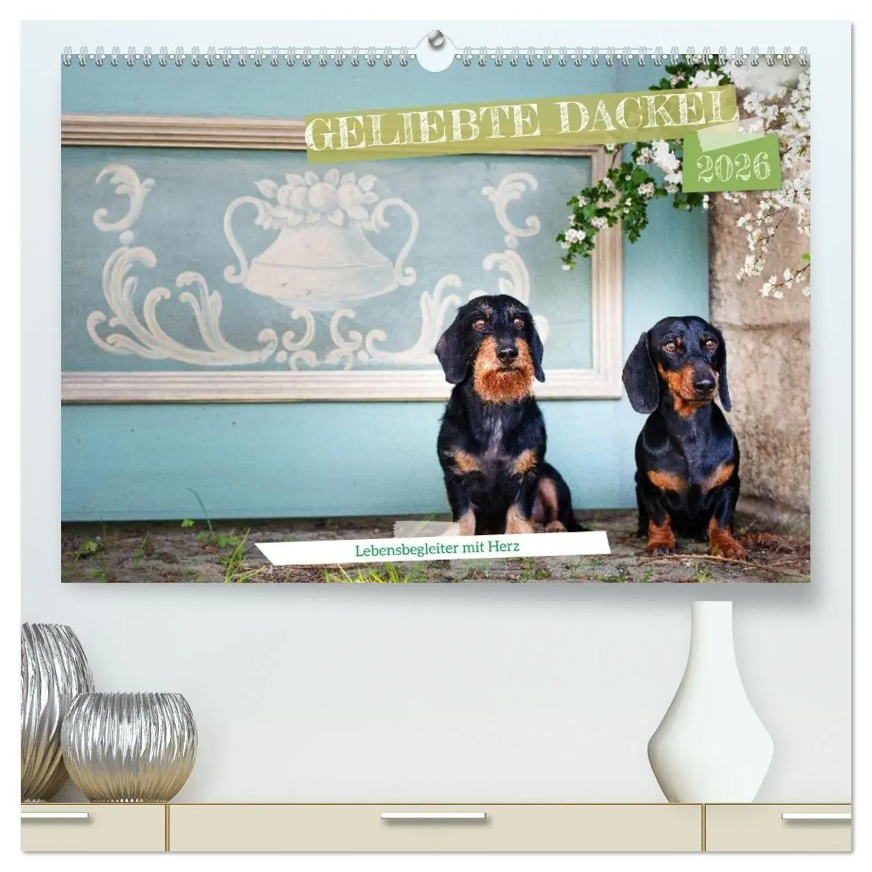Cover: 9783516665833 | Geliebte Dackel (hochwertiger Premium Wandkalender 2026 DIN A2...