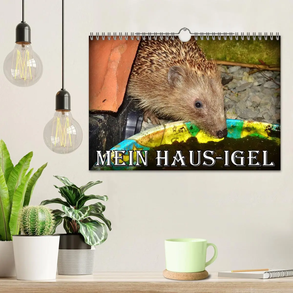 Bild: 9783457325933 | Mein Haus-Igel (Wandkalender 2026 DIN A4 quer), CALVENDO...