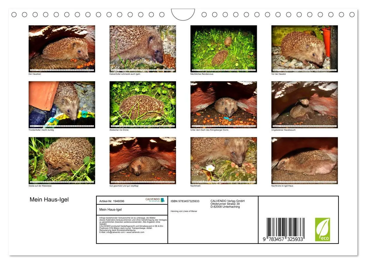 Bild: 9783457325933 | Mein Haus-Igel (Wandkalender 2026 DIN A4 quer), CALVENDO...