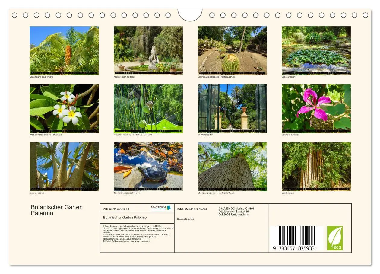Bild: 9783457875933 | Botanischer Garten Palermo (Wandkalender 2026 DIN A4 quer),...