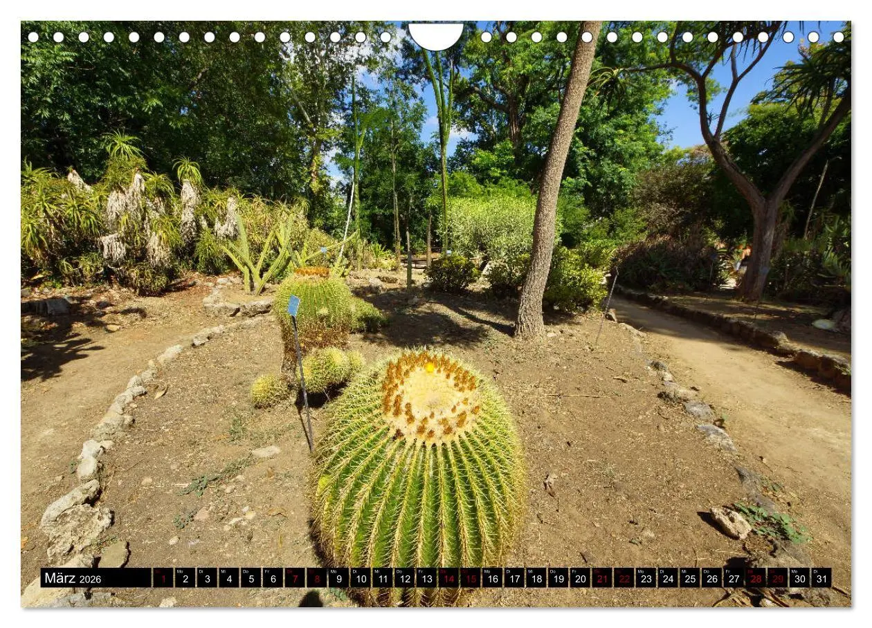 Bild: 9783457875933 | Botanischer Garten Palermo (Wandkalender 2026 DIN A4 quer),...