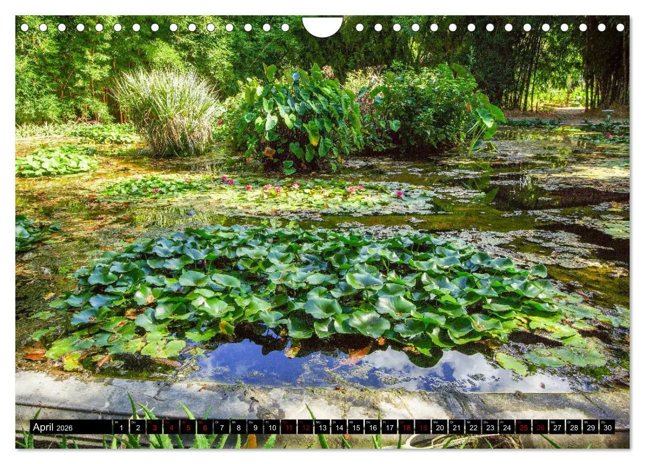 Bild: 9783457875933 | Botanischer Garten Palermo (Wandkalender 2026 DIN A4 quer),...