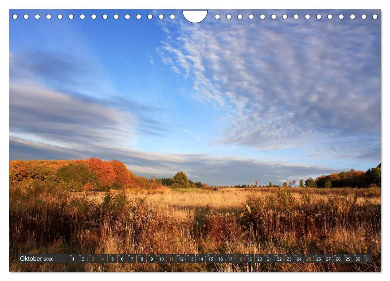 Bild: 9783516035933 | Unterwegs im Hunsrück (Wandkalender 2026 DIN A4 quer), CALVENDO...