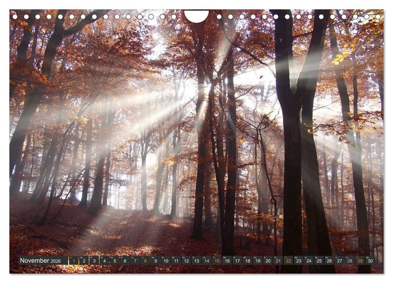 Bild: 9783516035933 | Unterwegs im Hunsrück (Wandkalender 2026 DIN A4 quer), CALVENDO...