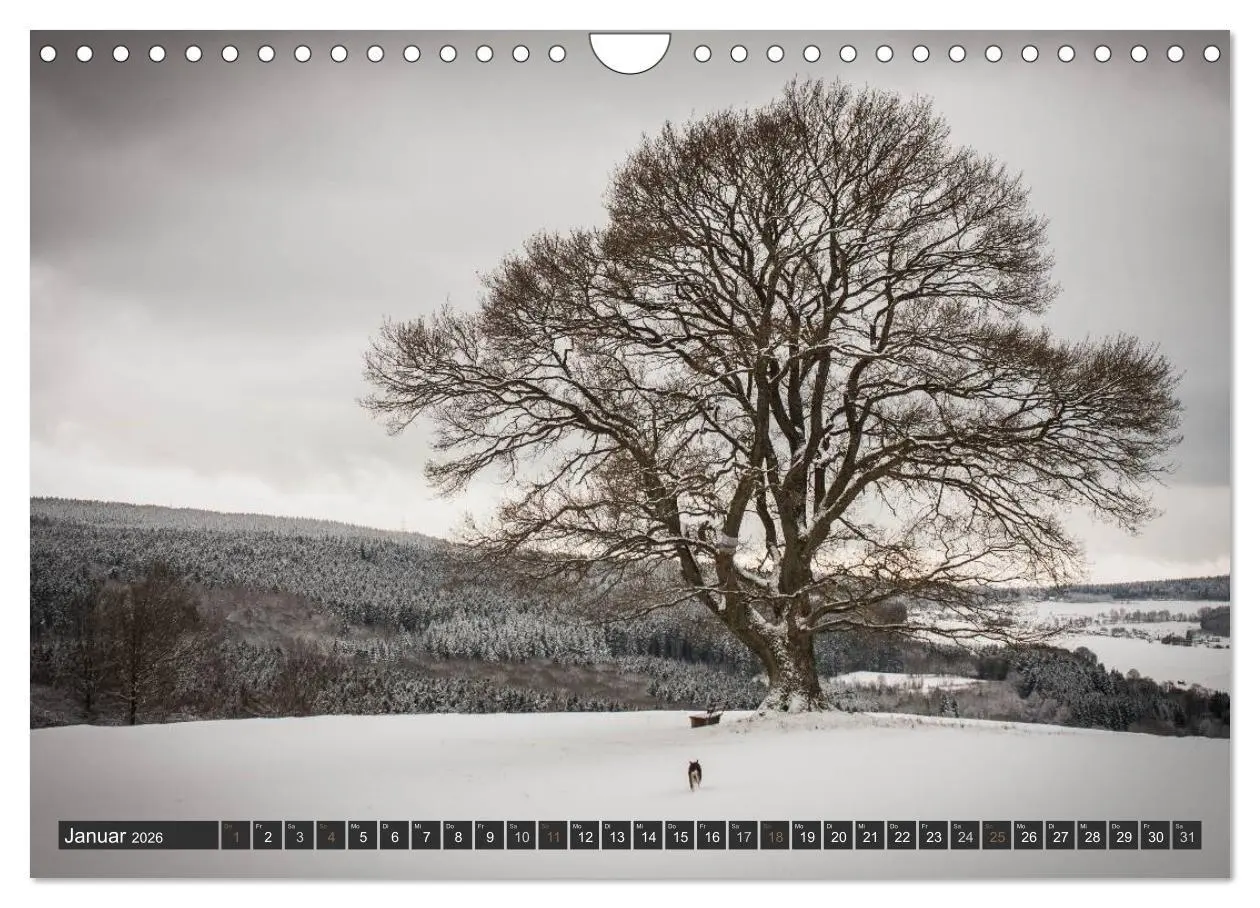 Bild: 9783516035933 | Unterwegs im Hunsrück (Wandkalender 2026 DIN A4 quer), CALVENDO...