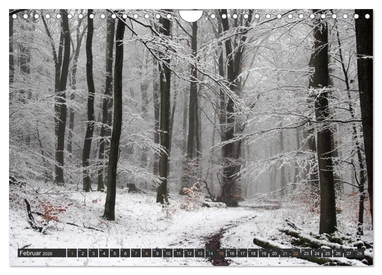 Bild: 9783516035933 | Unterwegs im Hunsrück (Wandkalender 2026 DIN A4 quer), CALVENDO...