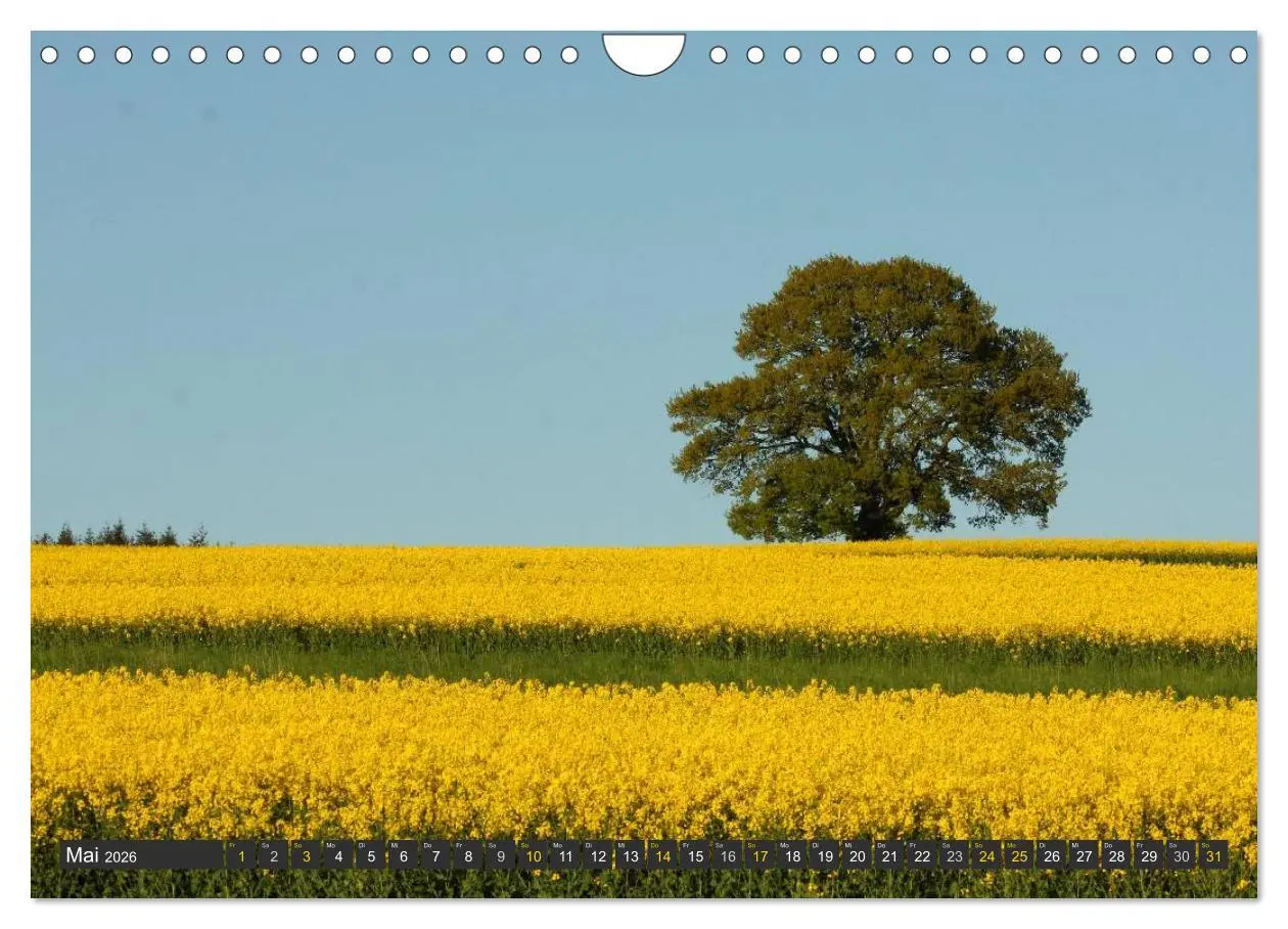 Bild: 9783516035933 | Unterwegs im Hunsrück (Wandkalender 2026 DIN A4 quer), CALVENDO...