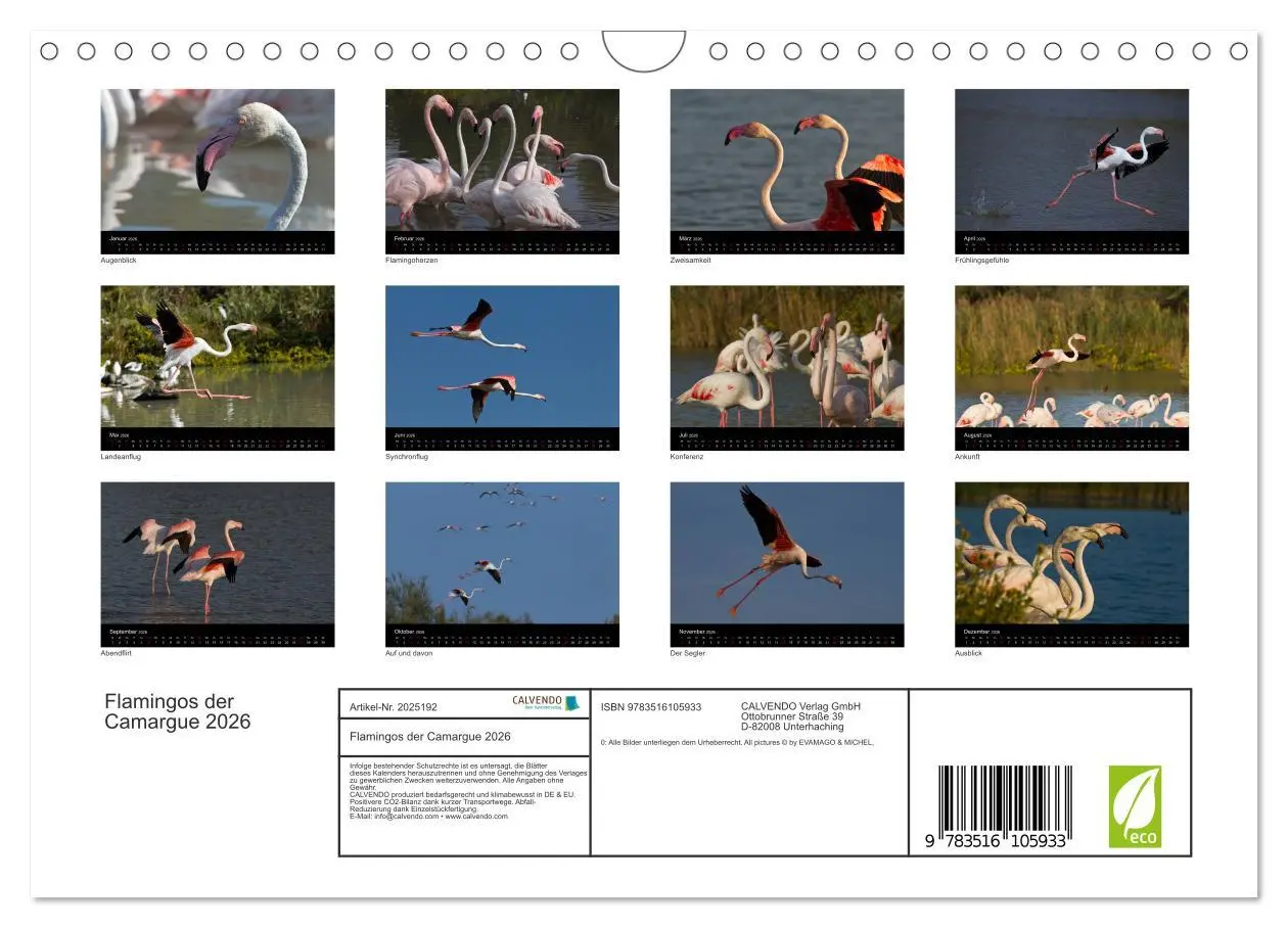 Bild: 9783516105933 | Flamingos der Camargue 2026 (Wandkalender 2026 DIN A4 quer),...