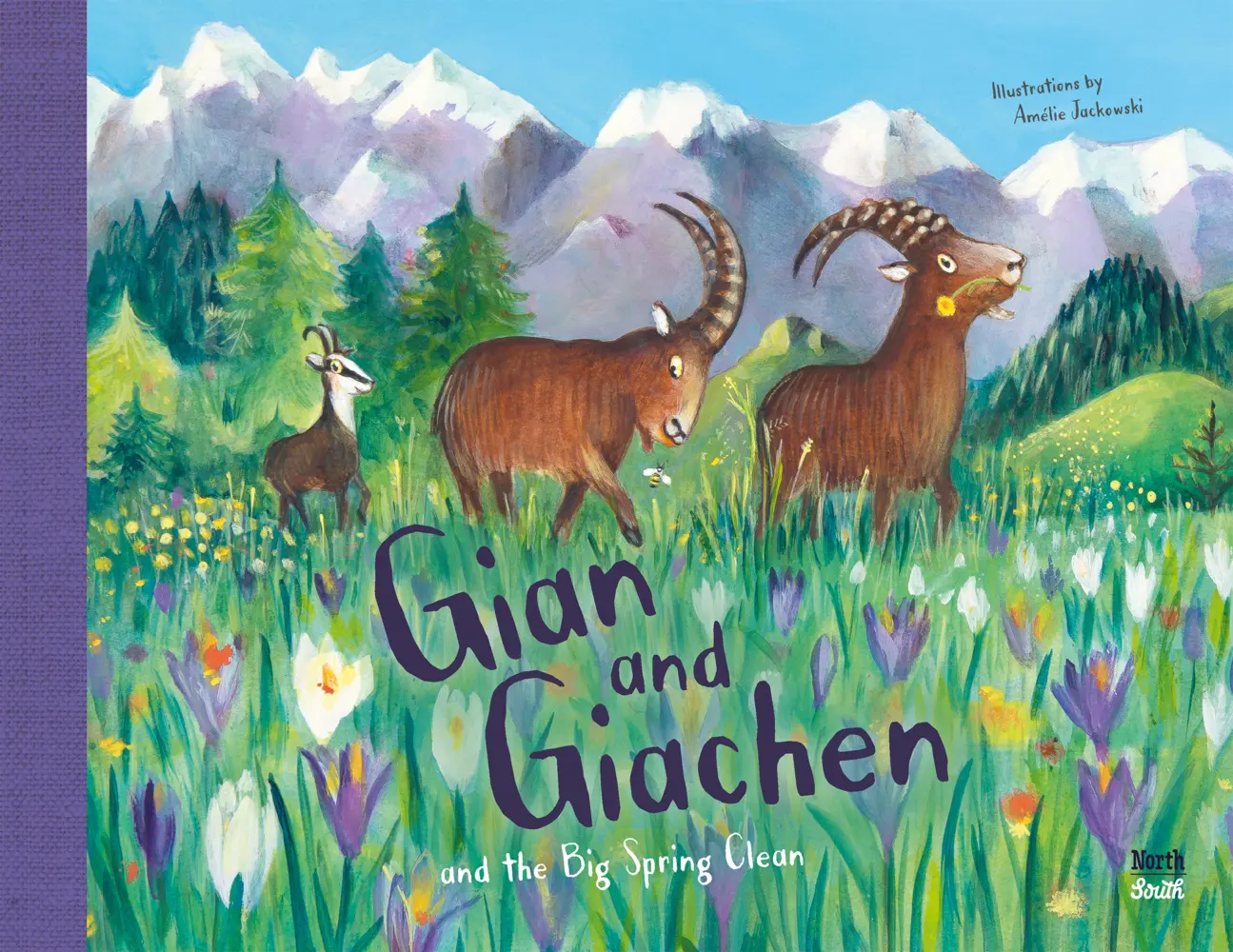 Cover: 9783314106033 | Gian and Giachen and the Big Spring Clean | Amélie Jackowski | Buch