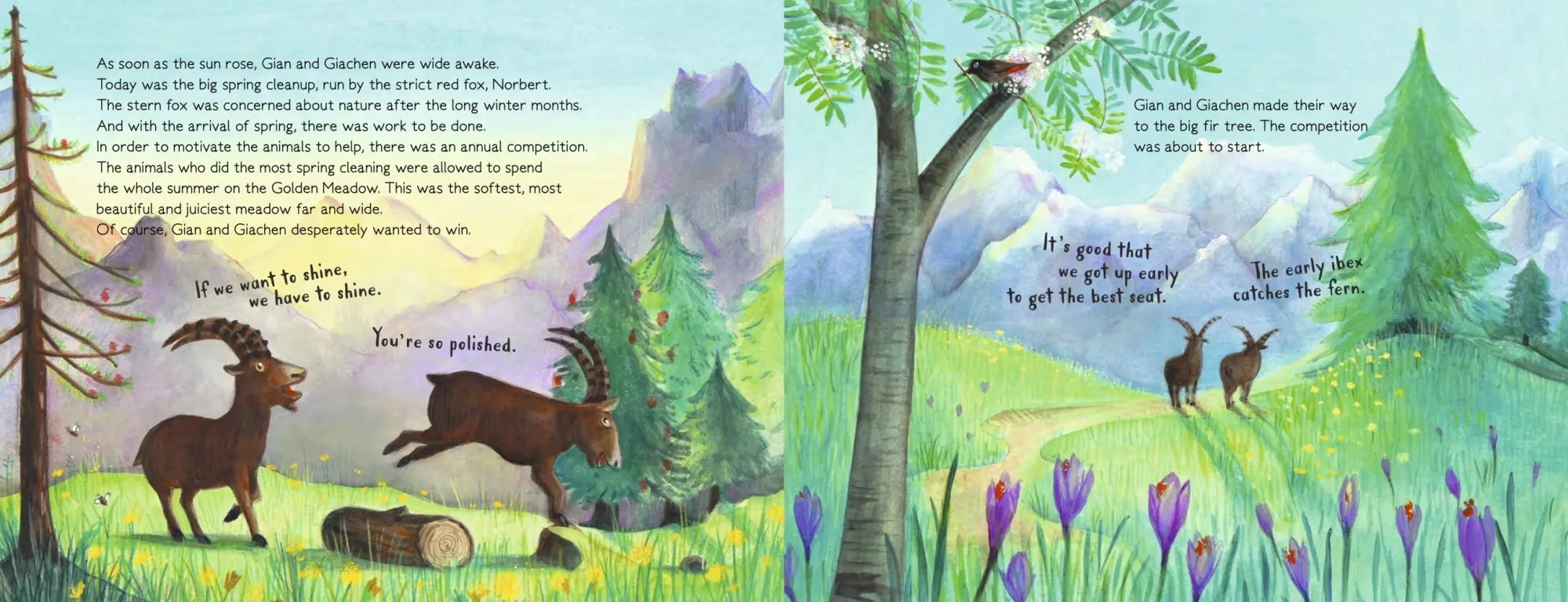 Bild: 9783314106033 | Gian and Giachen and the Big Spring Clean | David Henry Wilson | Buch