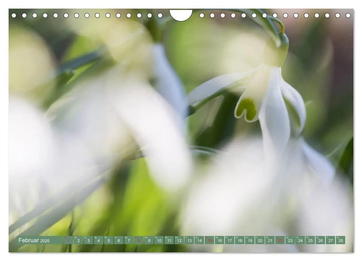 Bild: 9783457906033 | Die Natur hautnah (Wandkalender 2026 DIN A4 quer), CALVENDO...