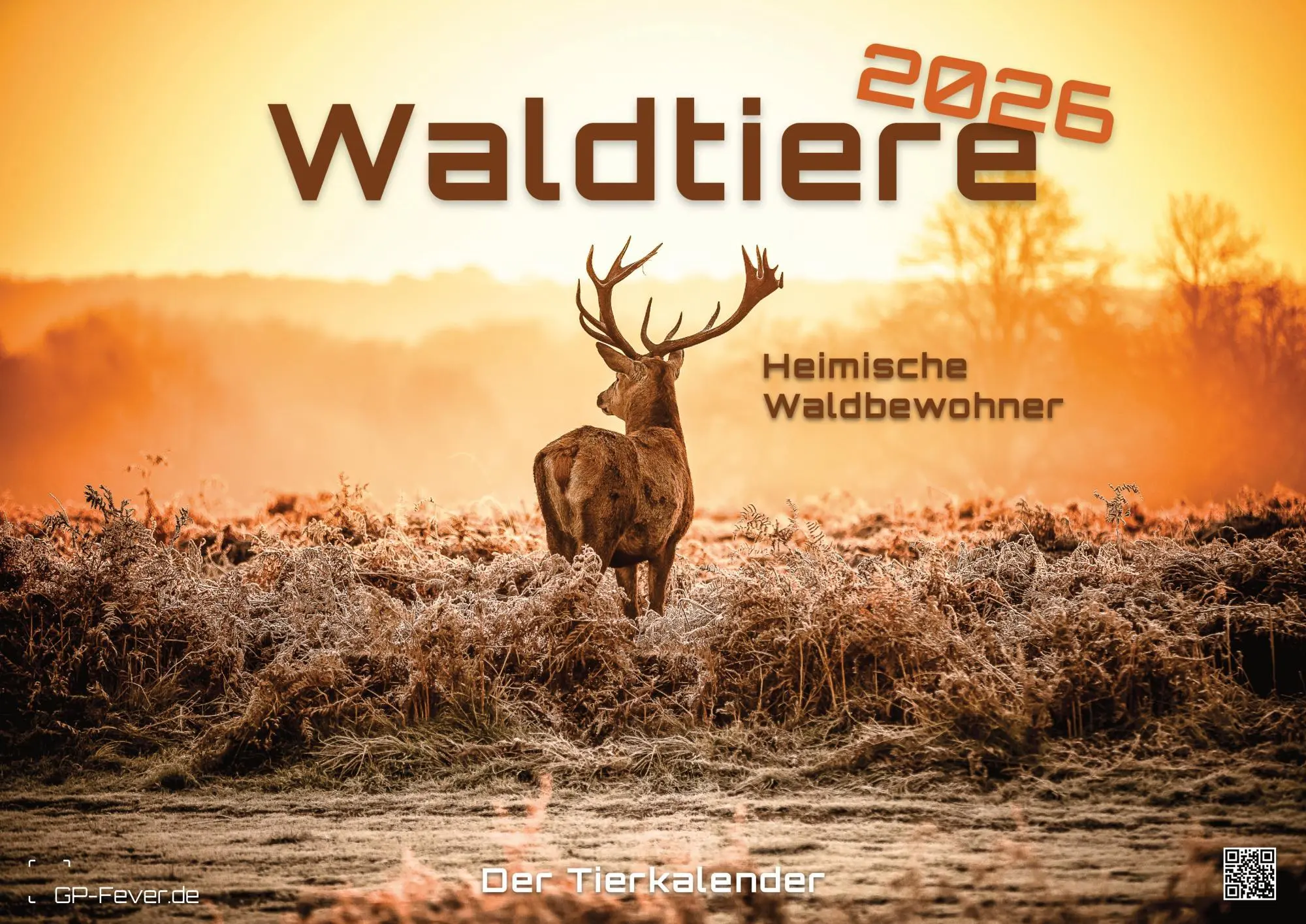 Cover: 9783986736033 | Waldtiere - Heimische Waldbewohner - Der Tierkalender - 2026 -...